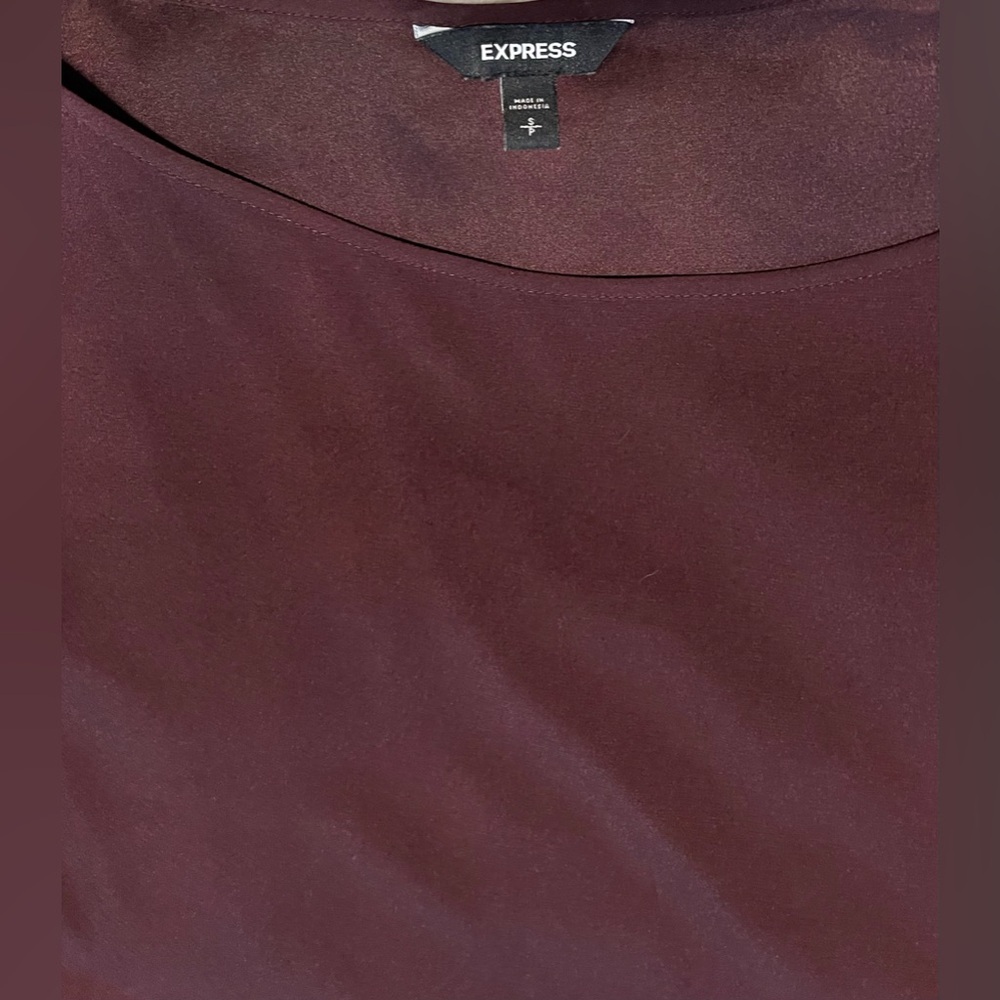 Express Burgundy Blouse